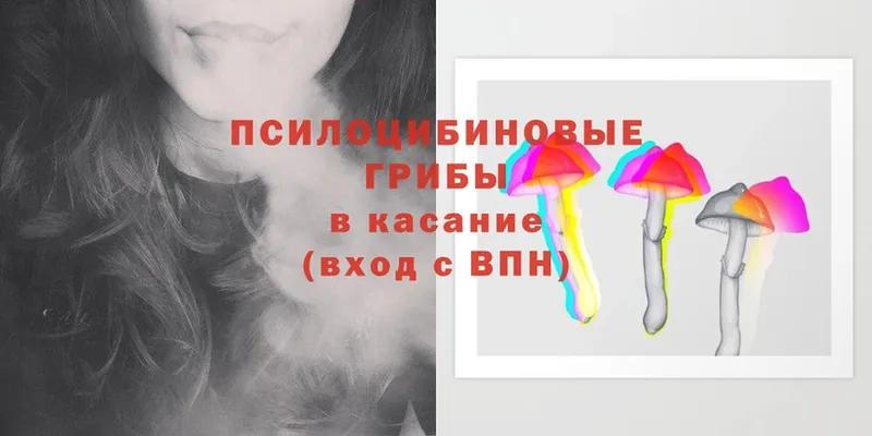 blacksprut ссылка  Камбарка  Галлюциногенные грибы Magic Shrooms 